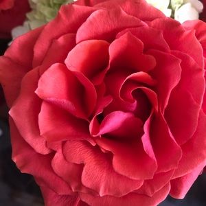 Meet your Posher, Christine